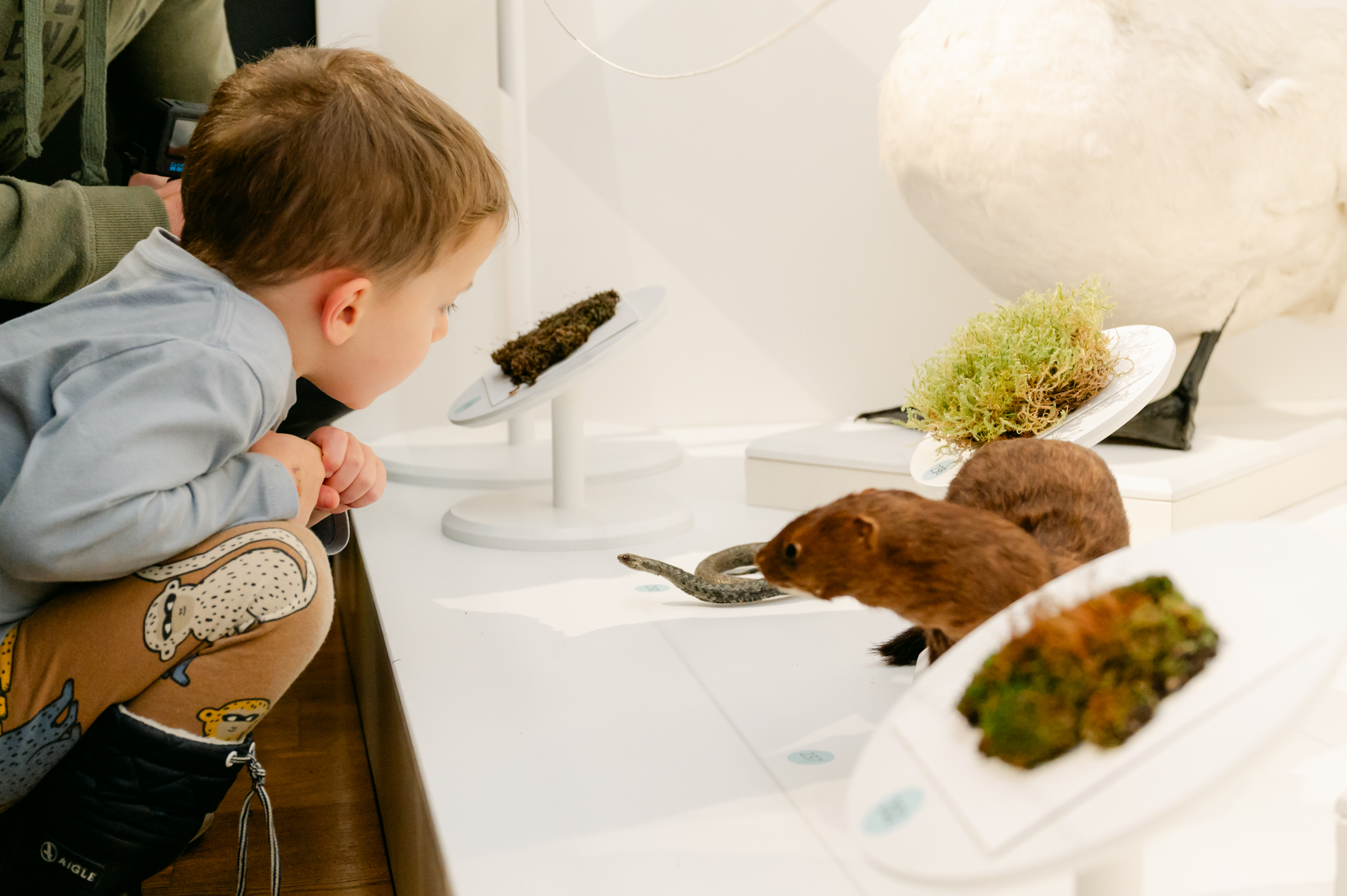 Laps vaatab eksponaate, sealhulgas topiseid ja samblaid