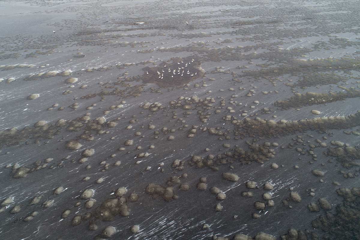 Kalmer Lehepuu näitus "Lähedalt ja kaugelt"