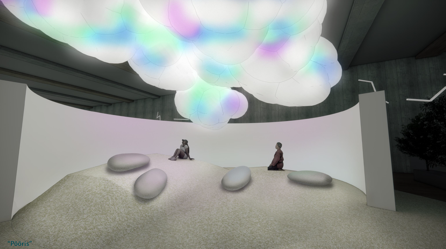 Uue loodusmuuseumi esimese ajutise näituse kontseptsioon "Pööris"