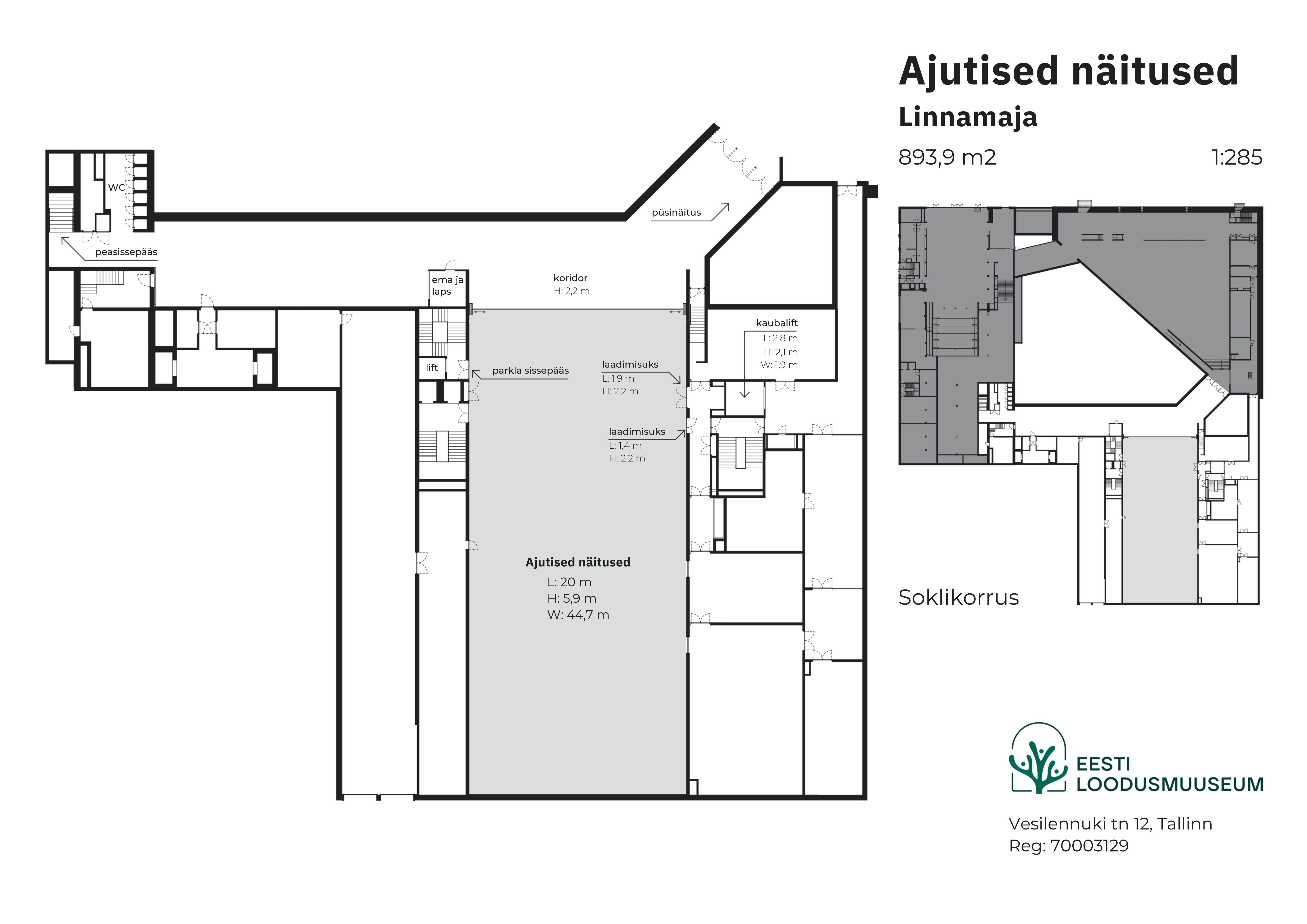 Uue loodusmuuseumi ajutiste näituste saali plaan
