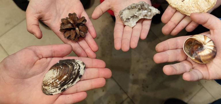 Lasteaedade projektõpe: lapsed muuseumis