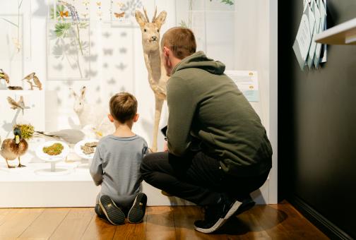 Külastajad uurimas linnaloomade vitriini näitusel "Puudega linn"