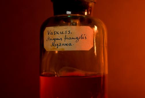 Vaskuss_1_prepareerinud_muuseumi_tellimusel_ornitoloog_August_Viht